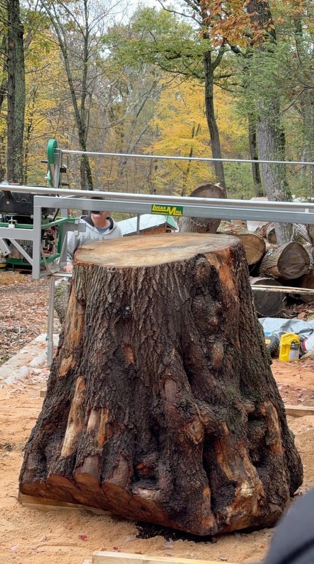 A massive trunk butt on the Lucas Mill, fall woods behind