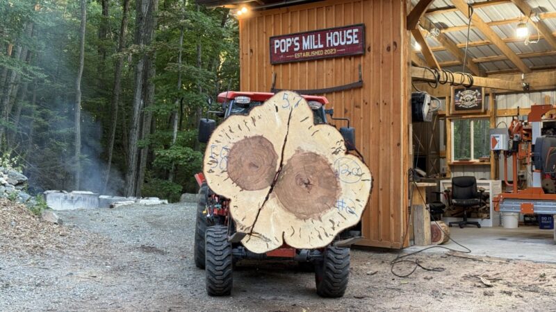 Ambrosia Maple Double Cookie — 58″ × 57″