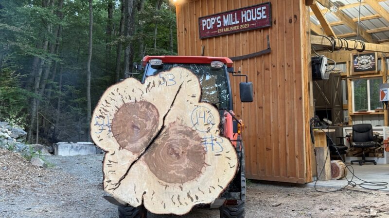 Ambrosia Maple Double Cookie — 54″ × 53″