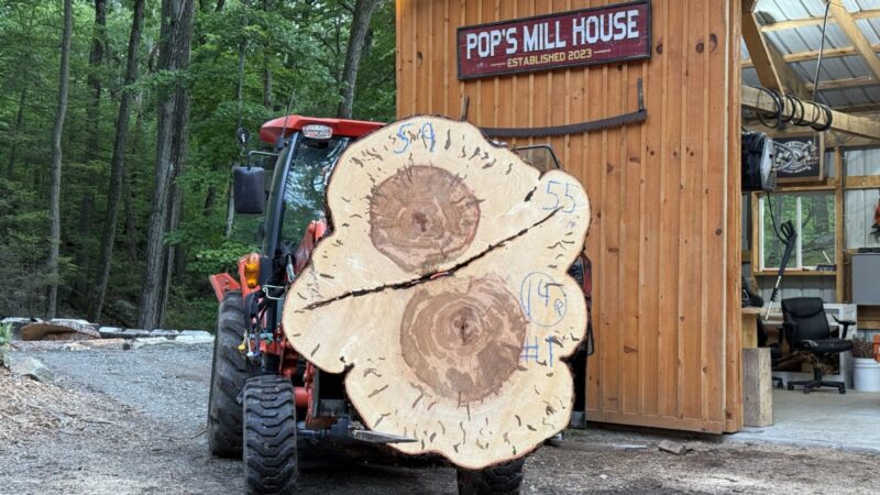 Ambrosia Maple Double Cookie — 59″ × 55″