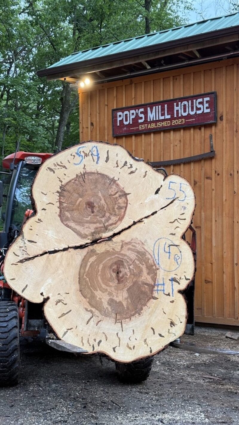 Ambrosia Maple Double Cookie — 59" × 55"