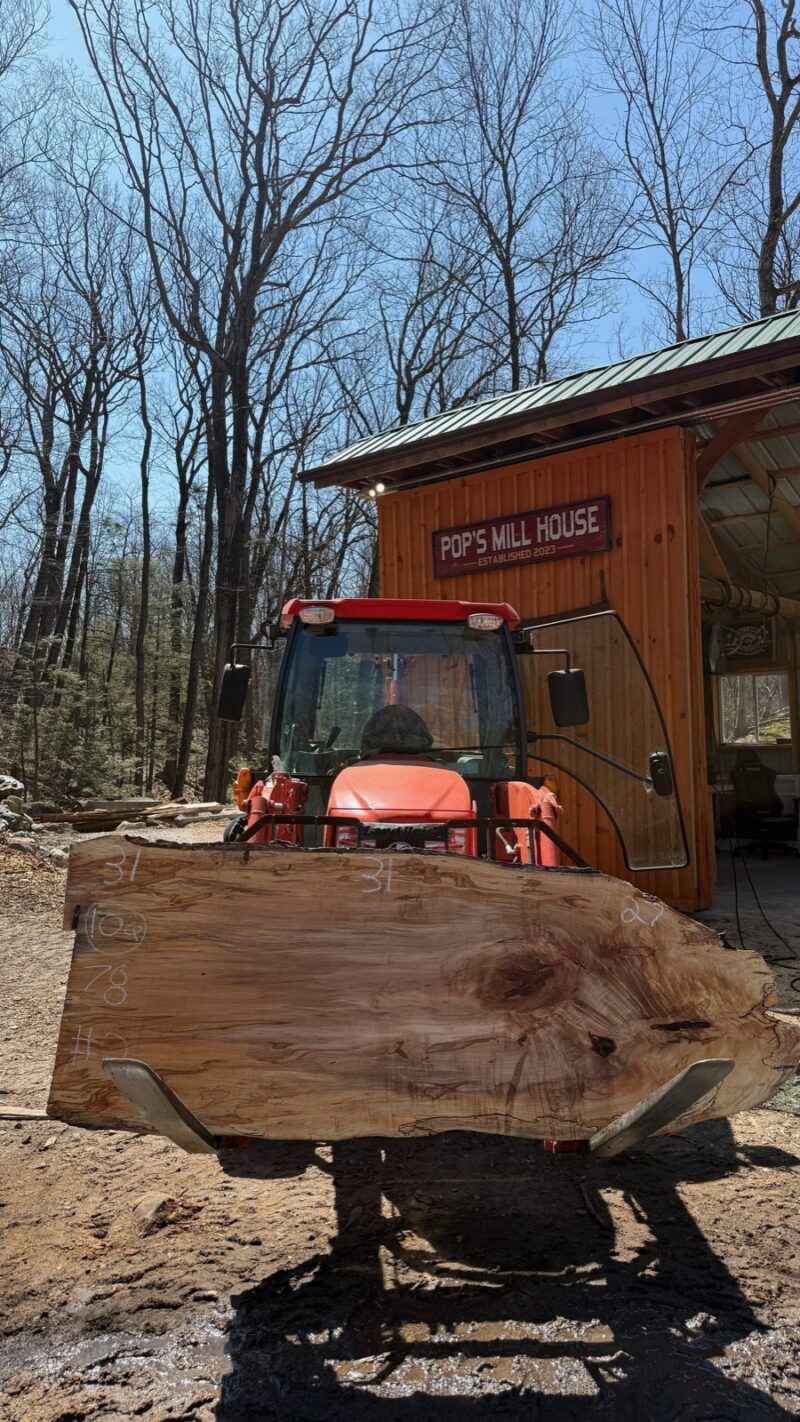 Ambrosia Maple Live Edge Slab #02 — 78" × 31"