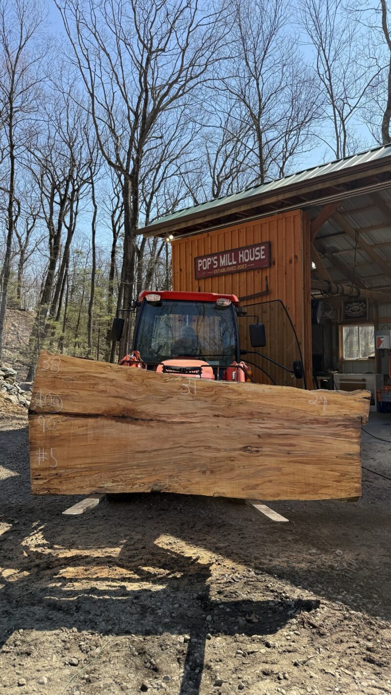 Ambrosia Maple Live Edge Slab #05 — 90" × 38"