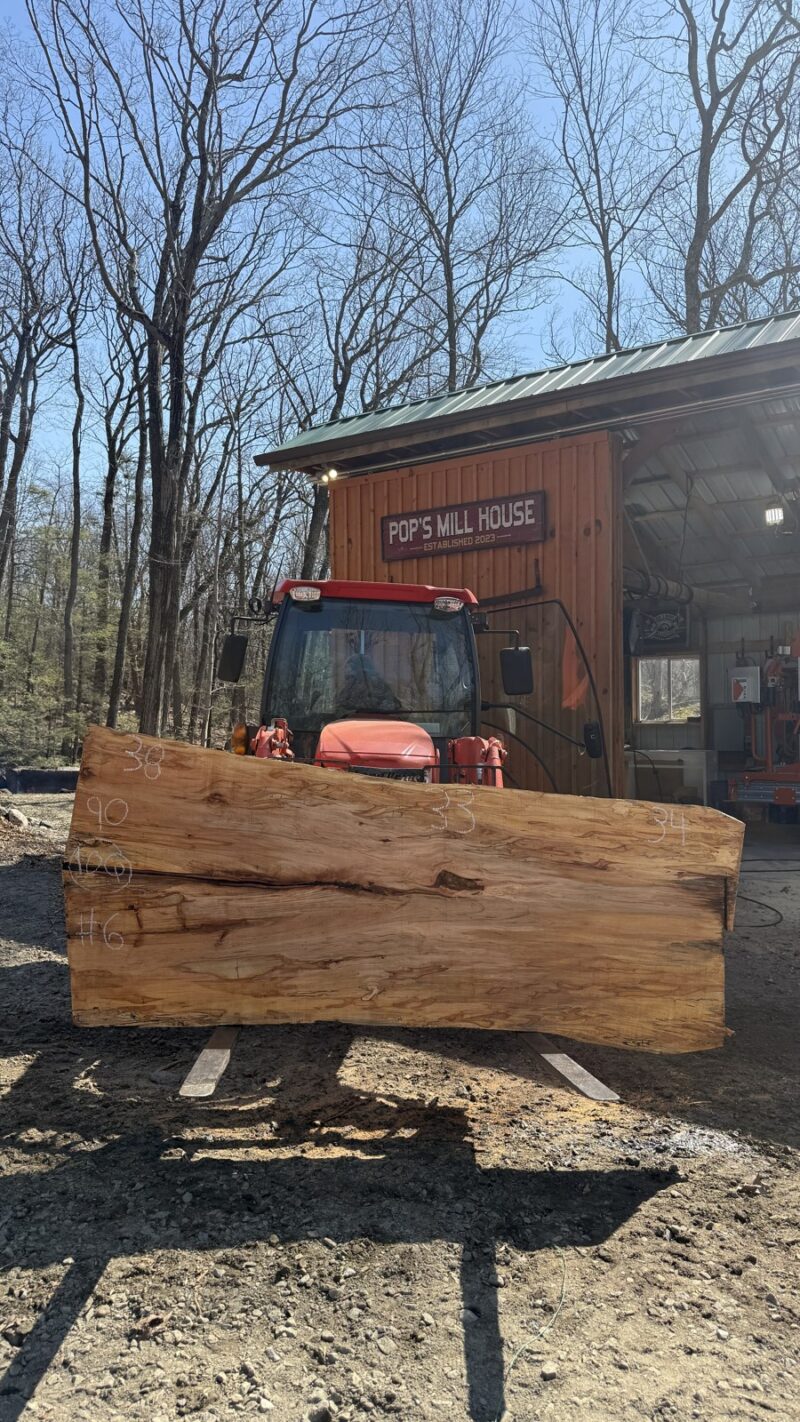 Ambrosia Maple Live Edge Slab #06 — 90" × 38"