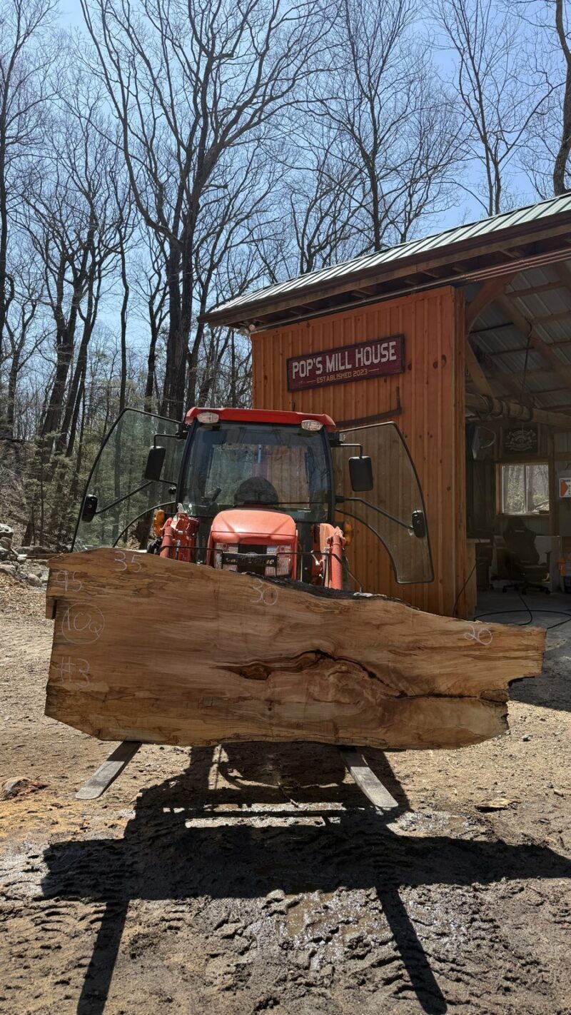 Ambrosia Maple Live Edge Slab #03 — 95" × 35"