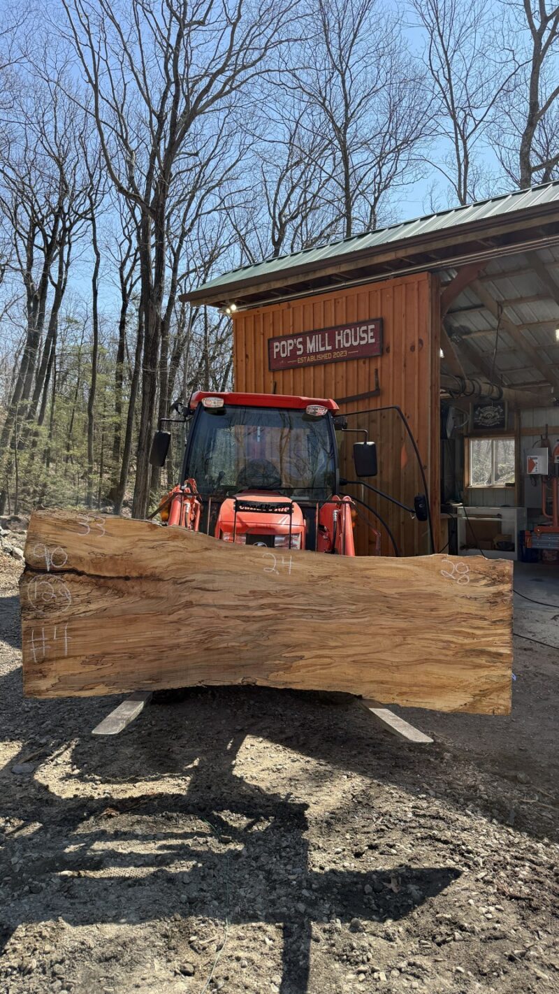 Ambrosia Maple Live Edge Slab #04 — 90" × 33"