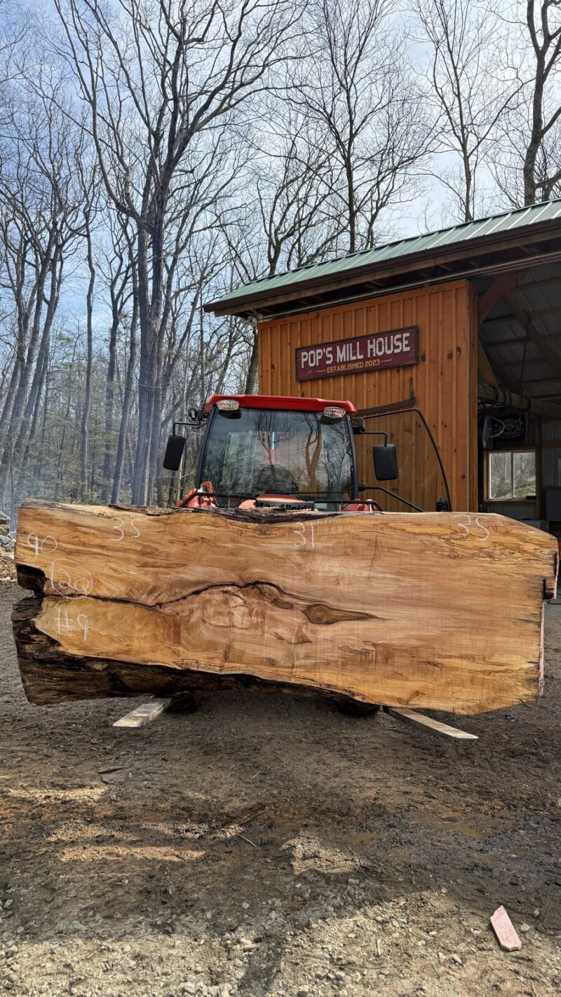 Ambrosia Maple Live Edge Slab #09 — 90" × 35"