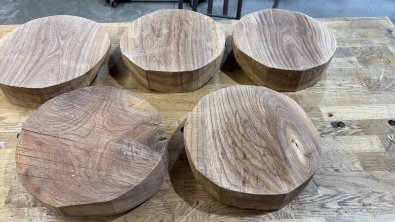 Elm Bowl Blanks — ~12" dia · turning blanks