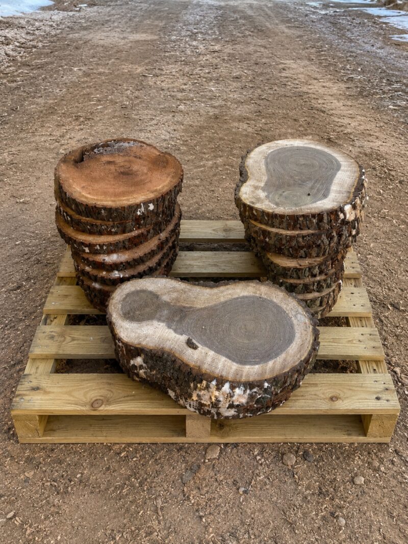 Cherry & Walnut Bowl Blanks — ~12" dia · turning blanks