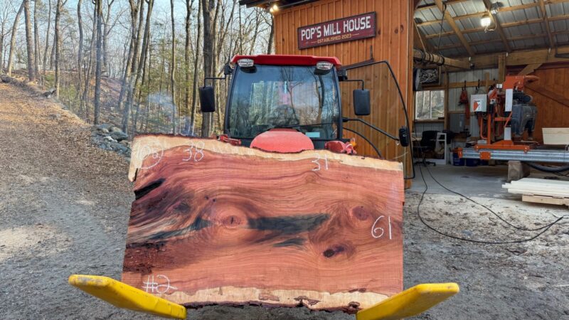 Cherry Live Edge Slab #02 — 61" × 38"