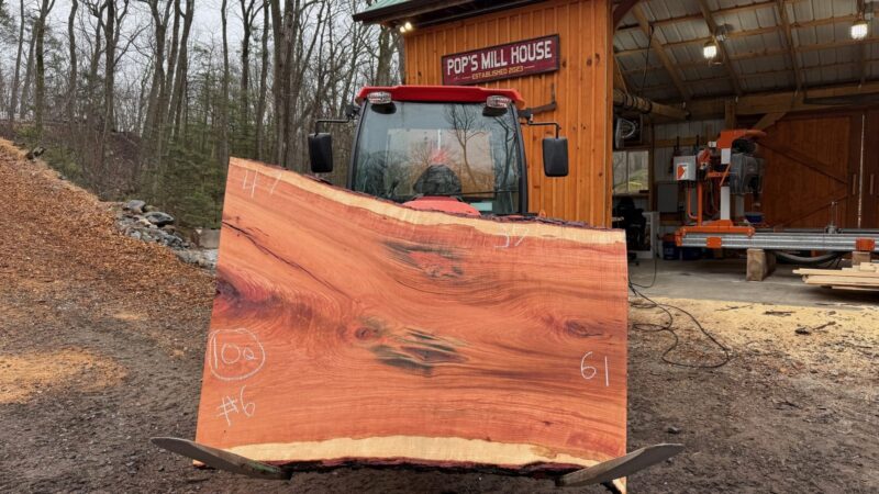 Cherry Live Edge Slab #06 — 61" × 47"