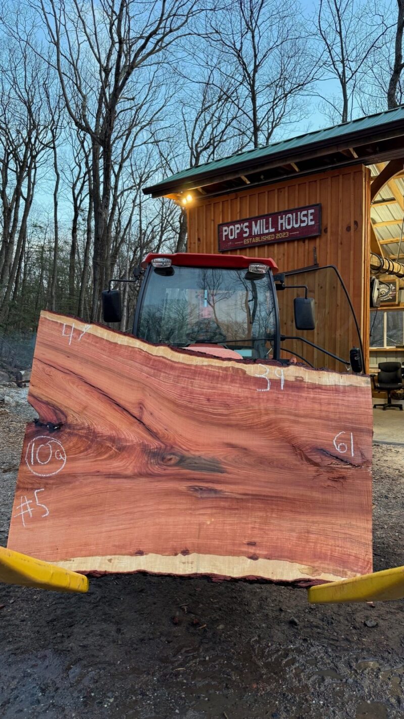 Cherry Live Edge Slab #05 — 61" × 47"