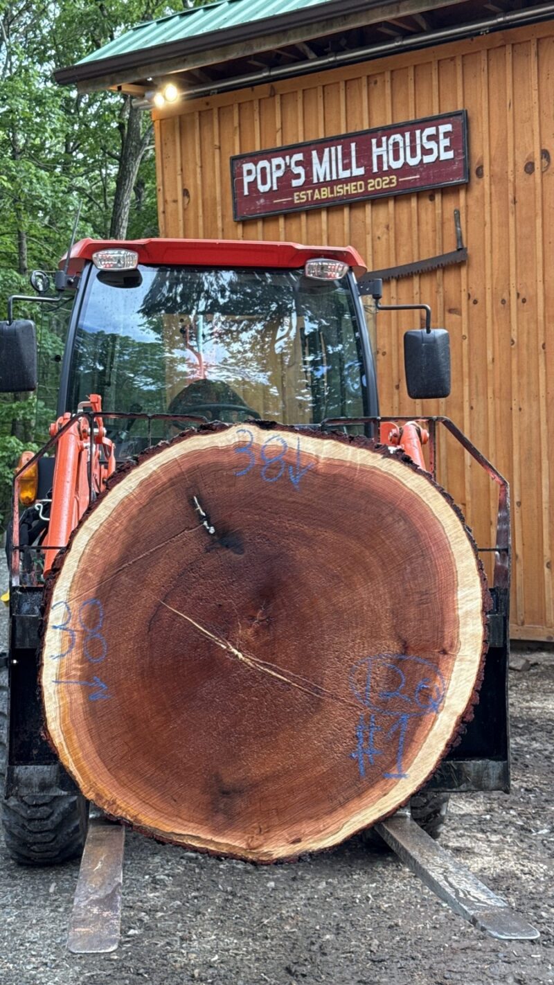 Cherry Cookie — 38" × 38" round