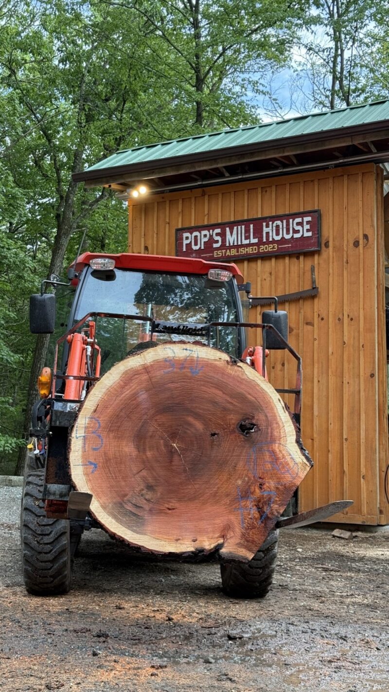 Cherry Cookie — 43" × 37" round