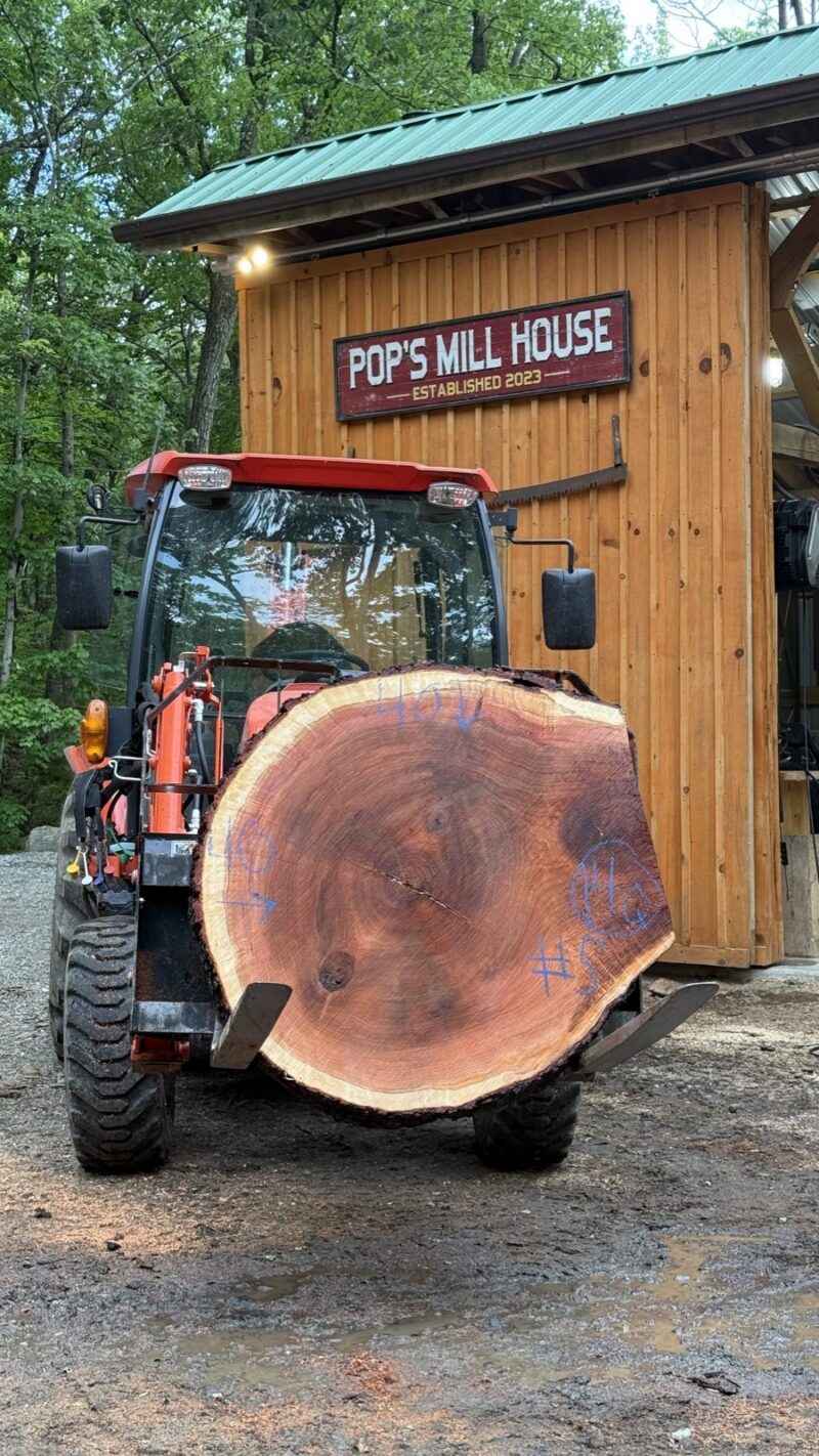 Cherry Cookie — 40" × 40" round