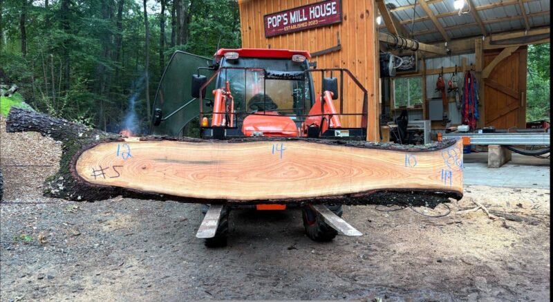 Cherry Live-Edge Slab — 119″ × 14″ × 1.5″ (CH-6Q-119-12/14/10-05)