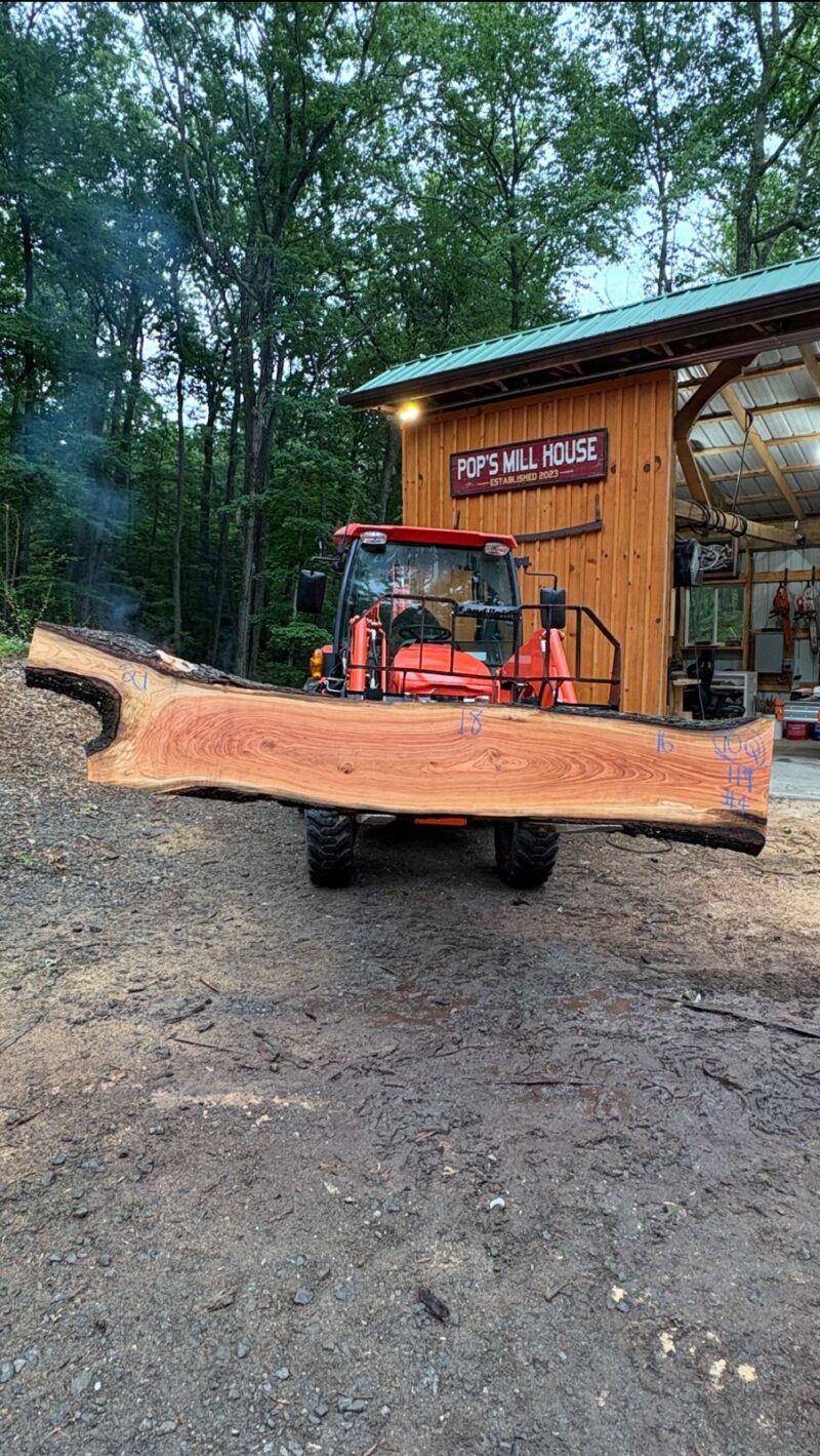 Cherry Live-Edge Slab — 119″ × 23″ × 2.25″ (CH-9Q-119-23/13/19-01)
