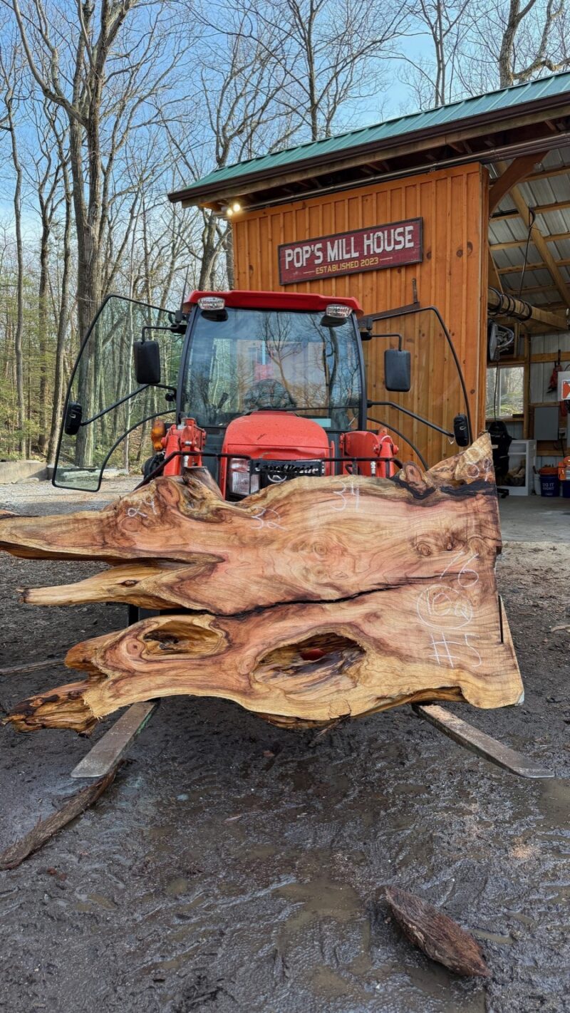 Red Cedar Live Edge Slab #05 — 76" × 39"