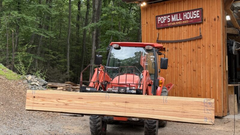 White Cedar Live Edge Slab #02 — 132" × 16"