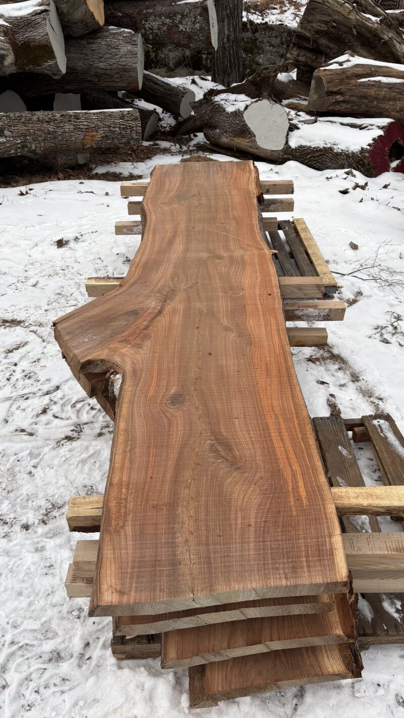 Red Elm (Slippery Elm) Live-Edge Slab — 144" × 35–46" × 2½" (10/4)