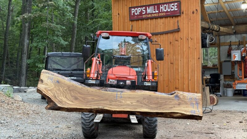 Elm Live-Edge Slab — 99″ × 22″ × 3.25″ (EL-13Q-99-22/15/16-05)