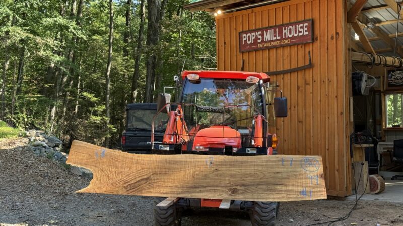 Elm Live-Edge Slab — 99″ × 17″ × 2″ (EL-8Q-99-17/17/17-01)