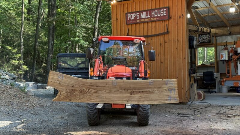 Elm Live-Edge Slab — 99″ × 21″ × 2″ (EL-8Q-99-21/18/18-02)