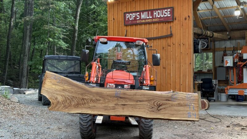 Elm Live-Edge Slab — 99″ × 23″ × 2″ (EL-8Q-99-23/18/18-04)