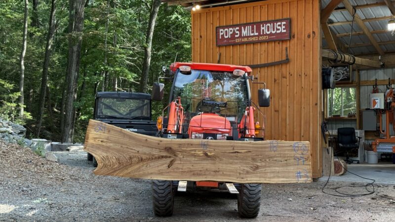 Elm Live-Edge Slab — 99″ × 24″ × 2″ (EL-8Q-99-24/18/18-03)