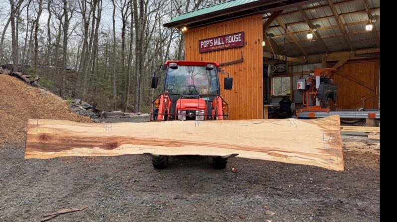 Hard Maple Live Edge Slab #07 — 139" × 40"