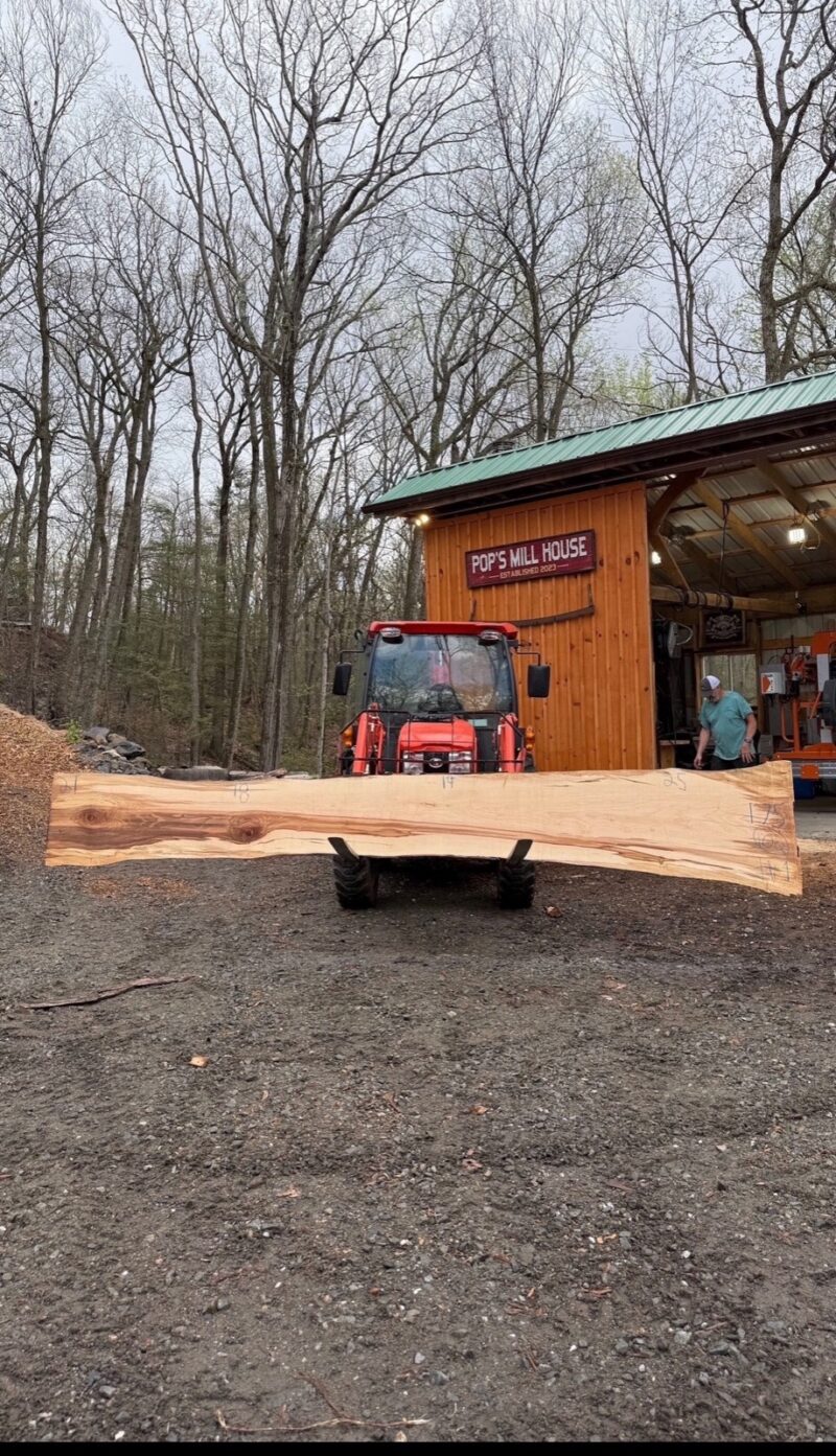 Hard Maple Live Edge Slab #06 — 175" × 25"