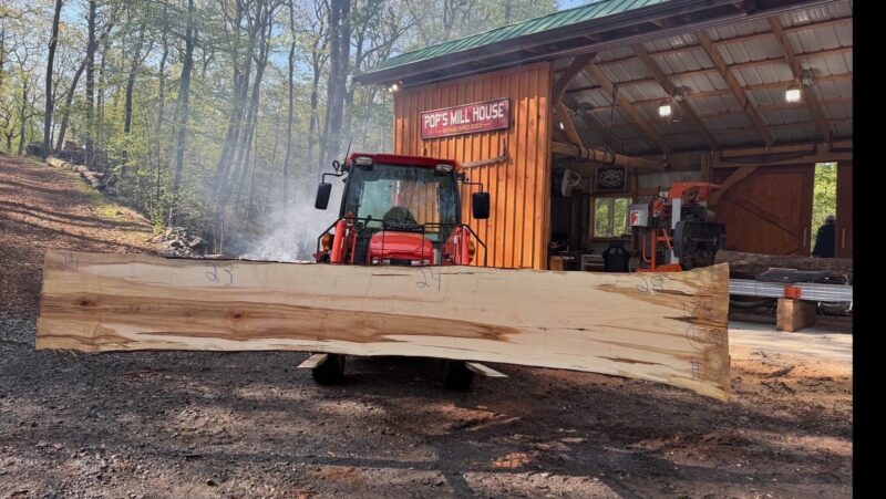 Hard Maple Live Edge Slab #01 — 175" × 25"