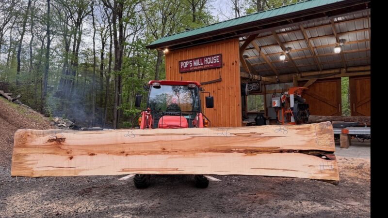Hard Maple Live Edge Slab #03 — 175" × 29"