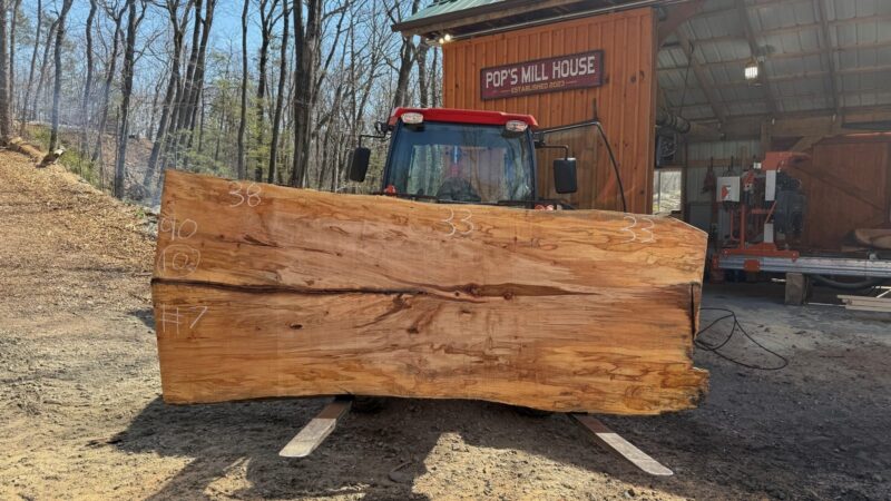 Hard Maple Live Edge Slab #33 — 90" × 33"