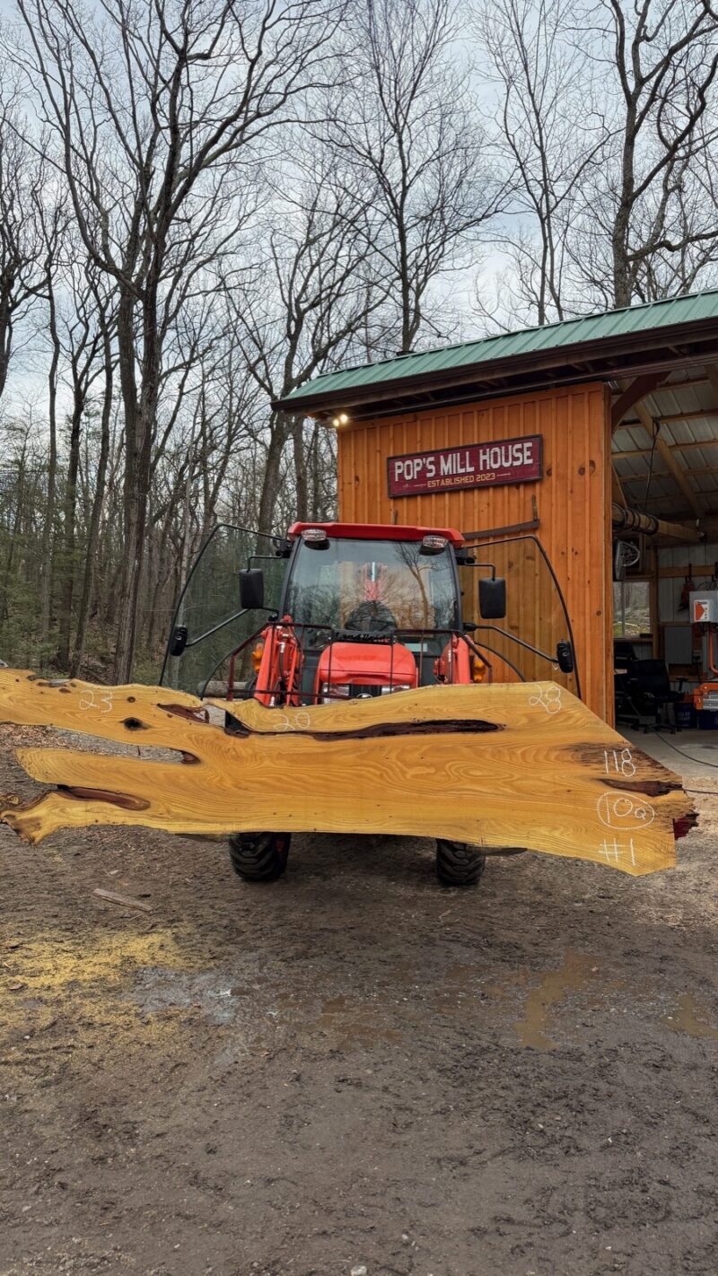 Black Locust Live Edge Slab #01 — 118" × 28"