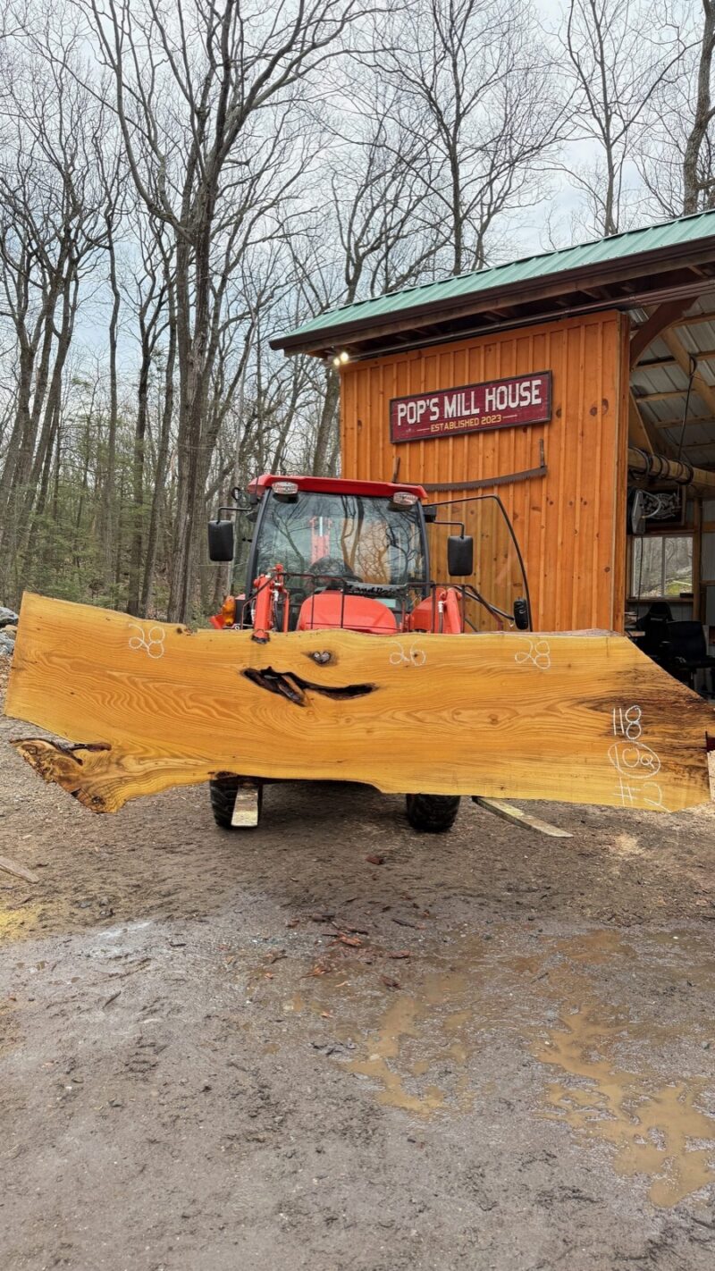 Black Locust Live Edge Slab #02 — 118" × 28"