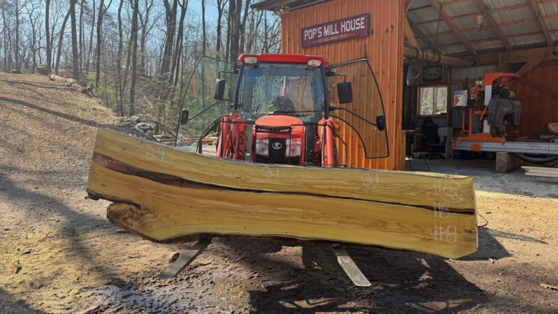 Black Locust Live Edge Slab #08 — 118" × 29"