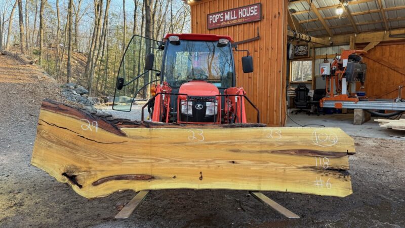 Black Locust Live Edge Slab #06 — 118" × 29"