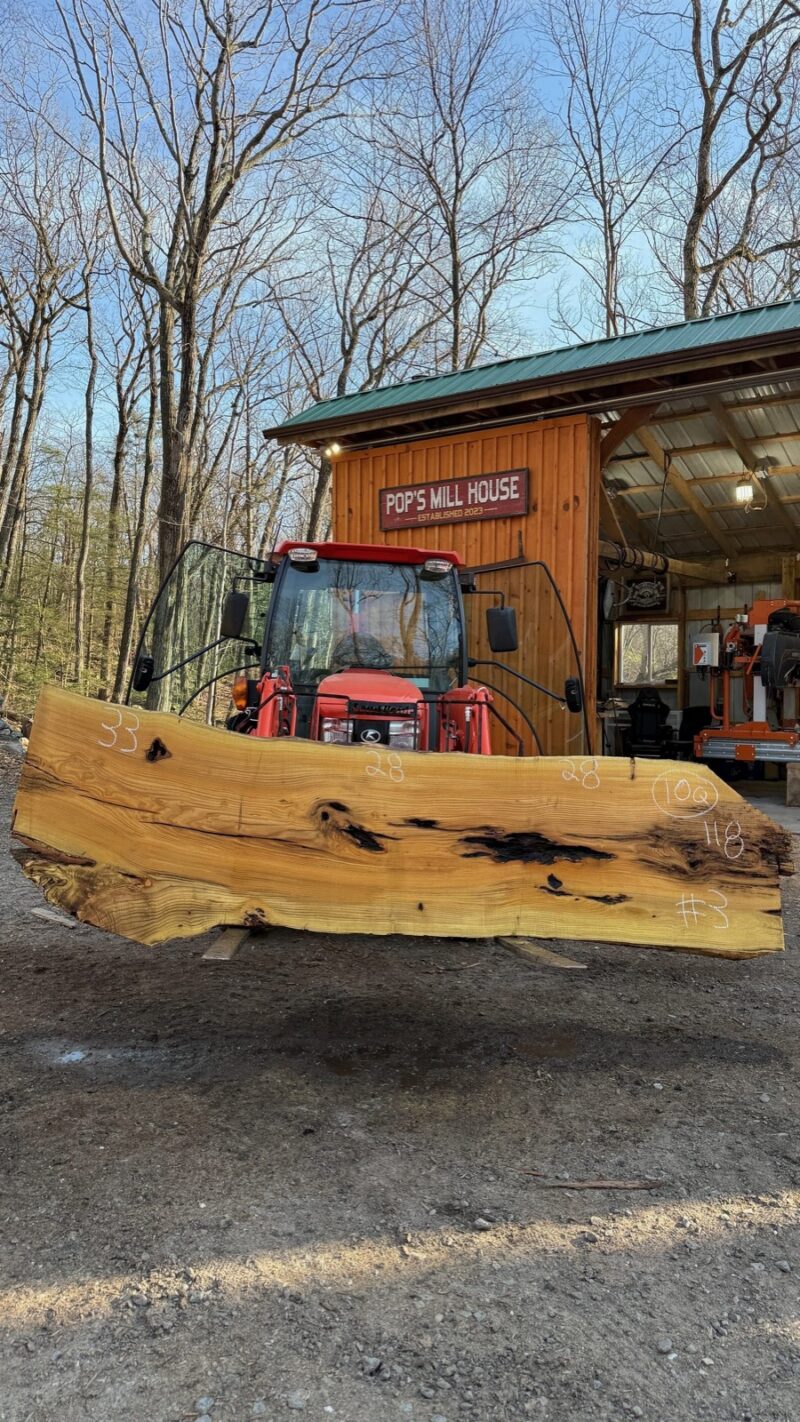 Black Locust Live Edge Slab #03 — 118" × 33"
