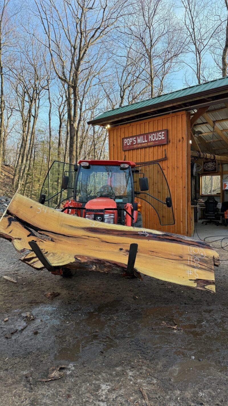 Black Locust Live Edge Slab #05 — 118" × 34"