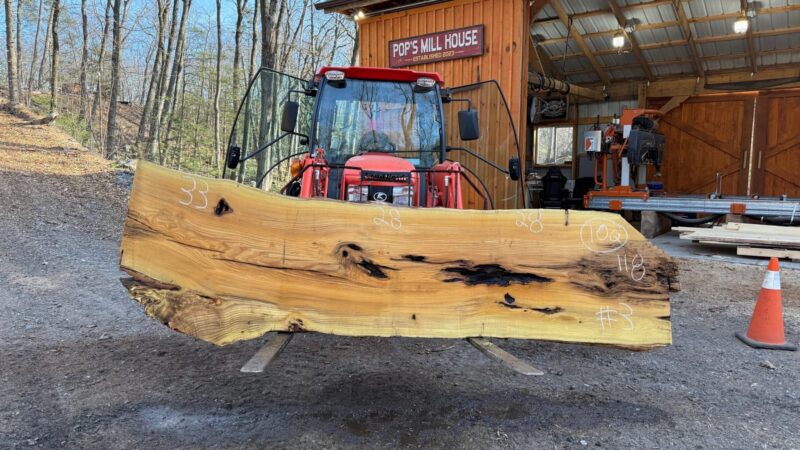 Black Locust Live Edge Slab #04 — 118" × 34"