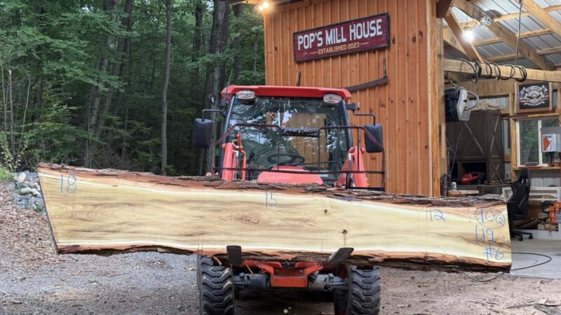 Black Locust Live-Edge Slab — 119″ × 18″ × 2.5″ (LO-10Q-119-18/15/12-06)