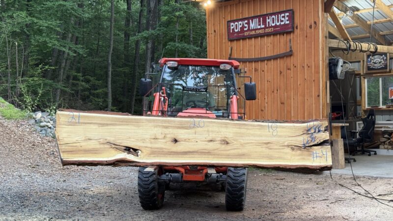 Black Locust Live-Edge Slab — 119″ × 21″ × 2.75″ (LO-11Q-119-21/20/19-04)