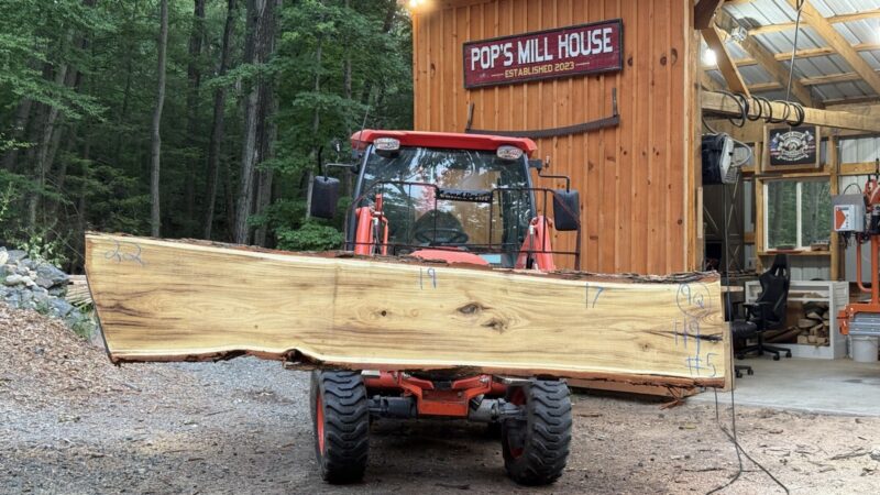 Black Locust Live-Edge Slab — 119″ × 22″ × 2.25″ (LO-9Q-119-22/19/17-05)