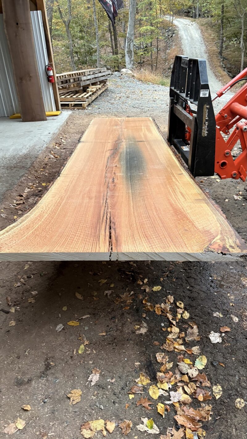 Red Oak Live Edge Slab #01 - 143" x 56"