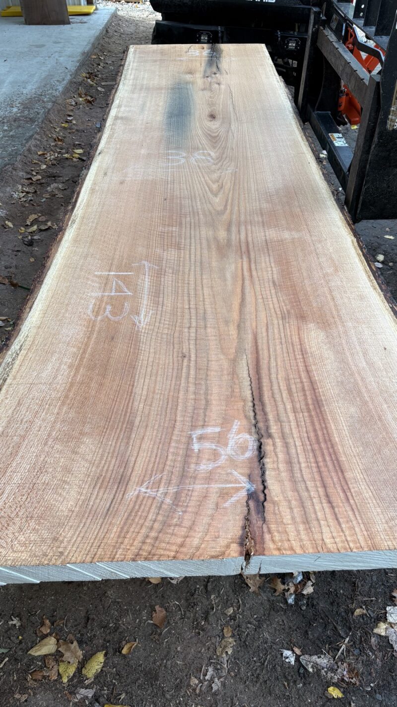 Red Oak Live Edge Slab #08 - 143" x 56"
