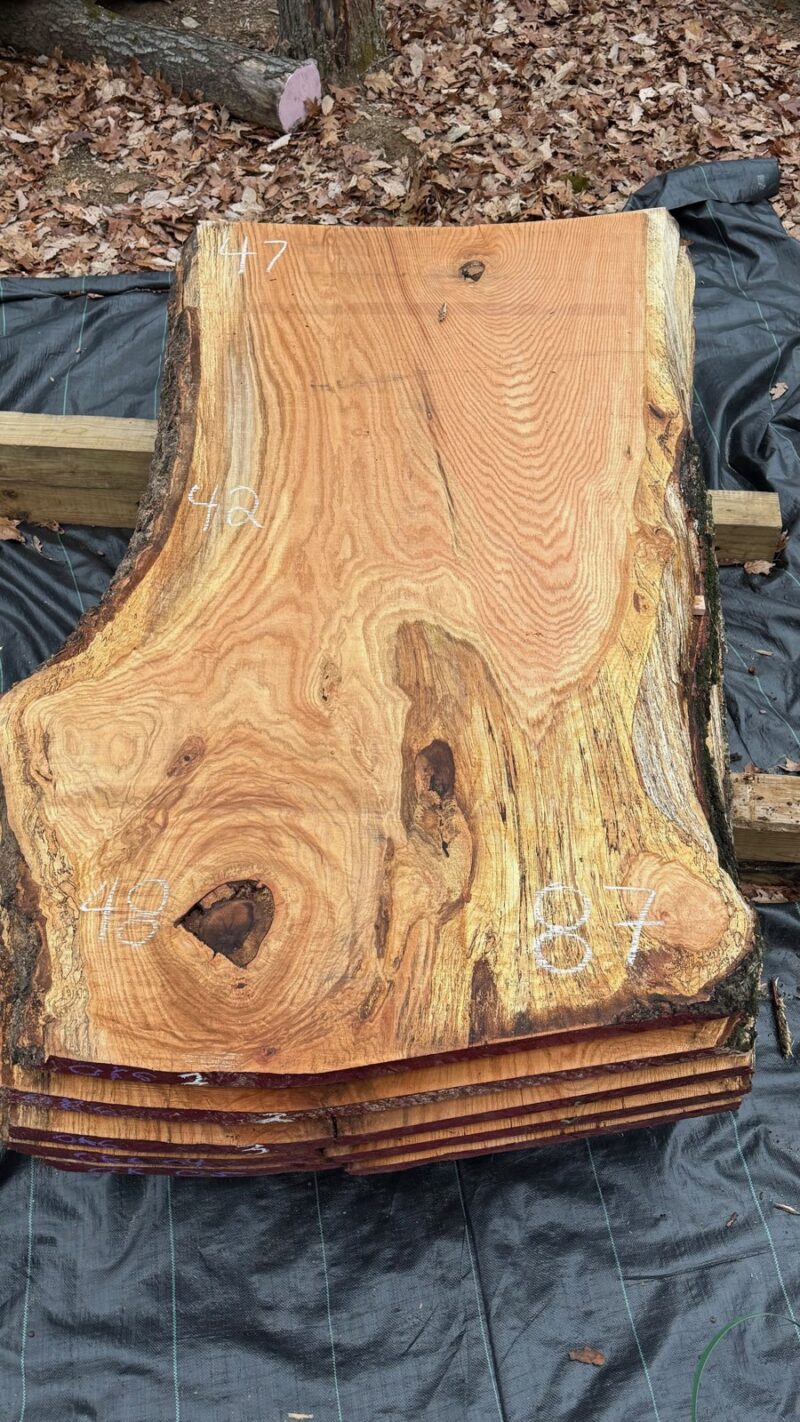 RED OAK LIVE EDGE SLAB #01 — 87" × 48"
