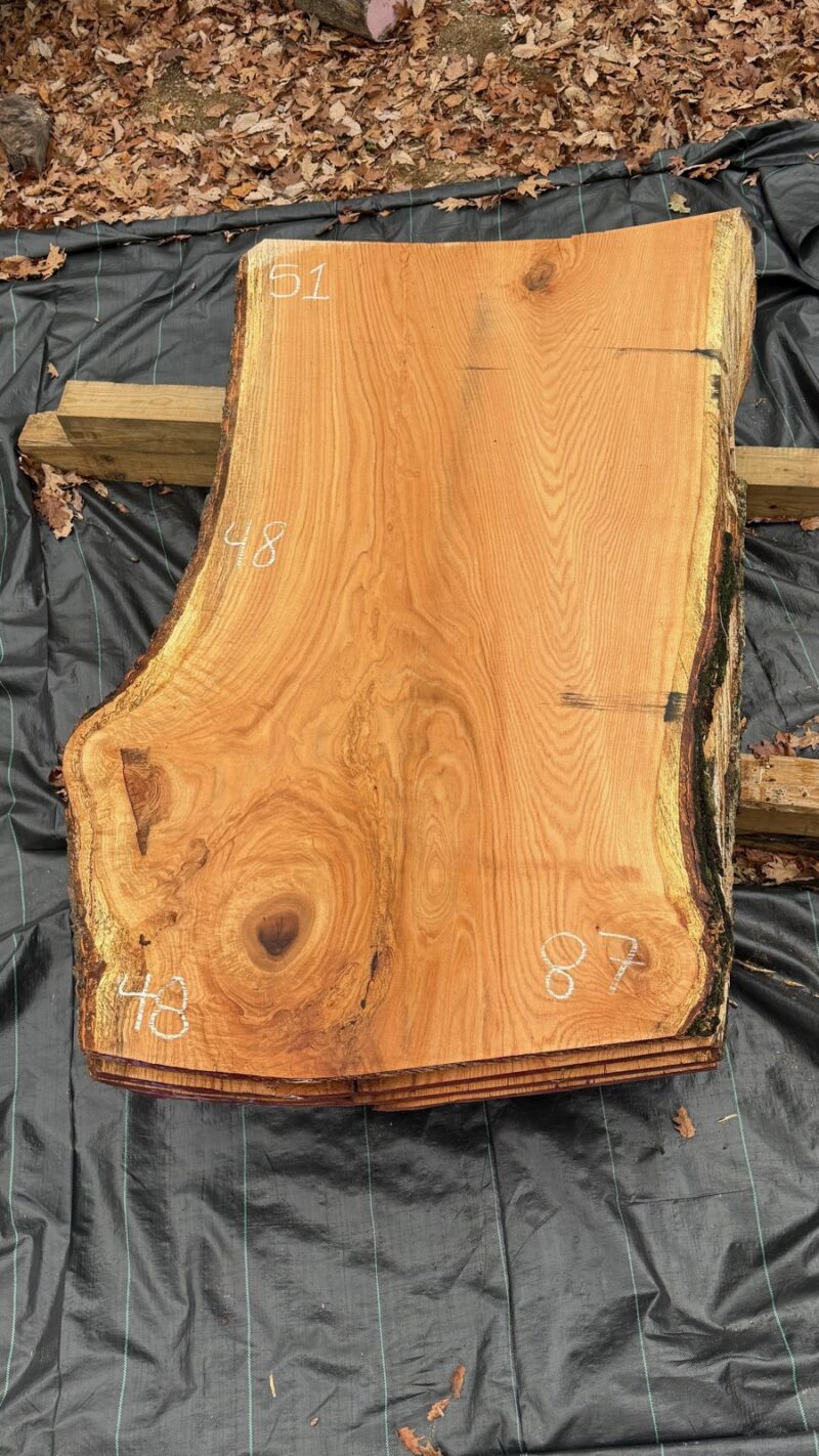RED OAK LIVE EDGE SLAB #02 — 87" × 51"