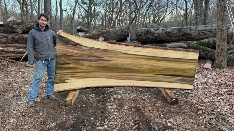 Poplar Live Edge Slab #01 — 122" × 52"