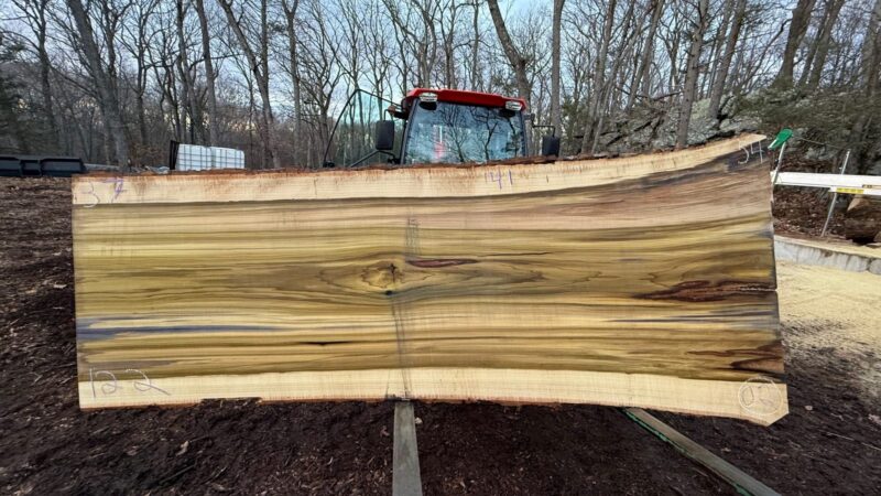 Poplar Live Edge Slab #03 — 122" × 52"